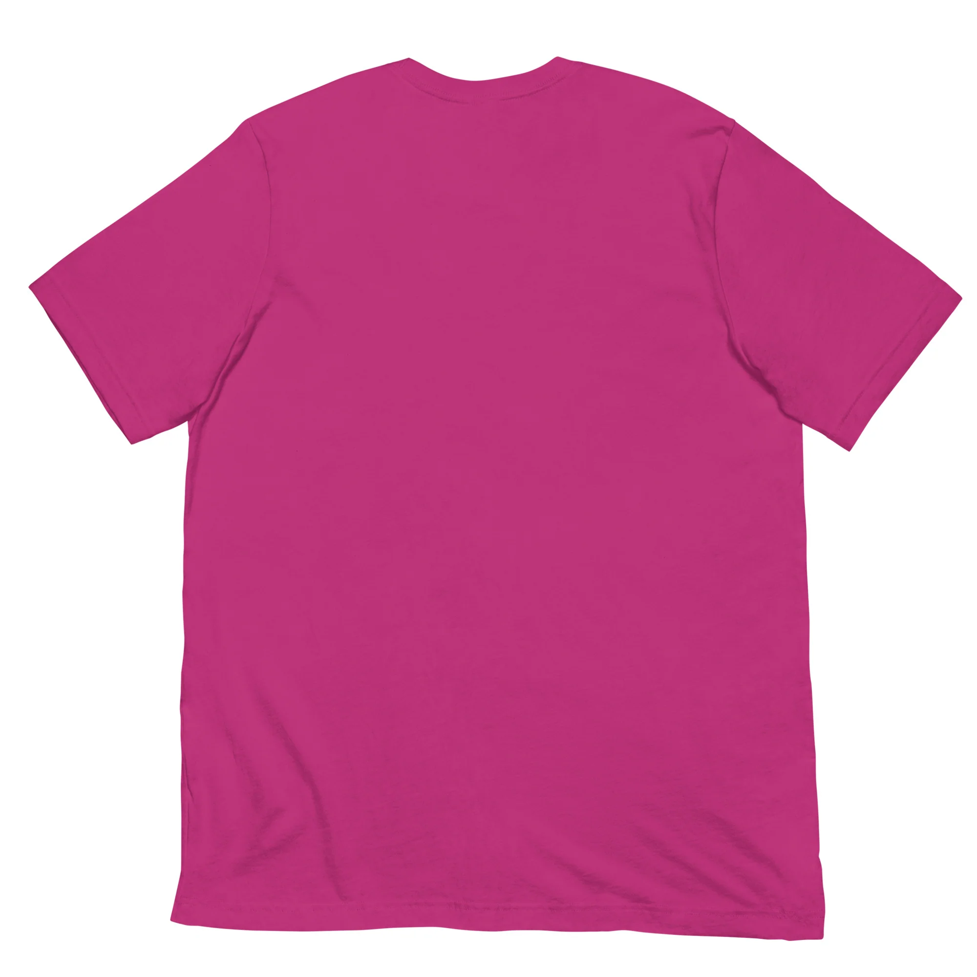 Ancient City of Troy Virtual Challenge Unisex t-shirt - Image 8