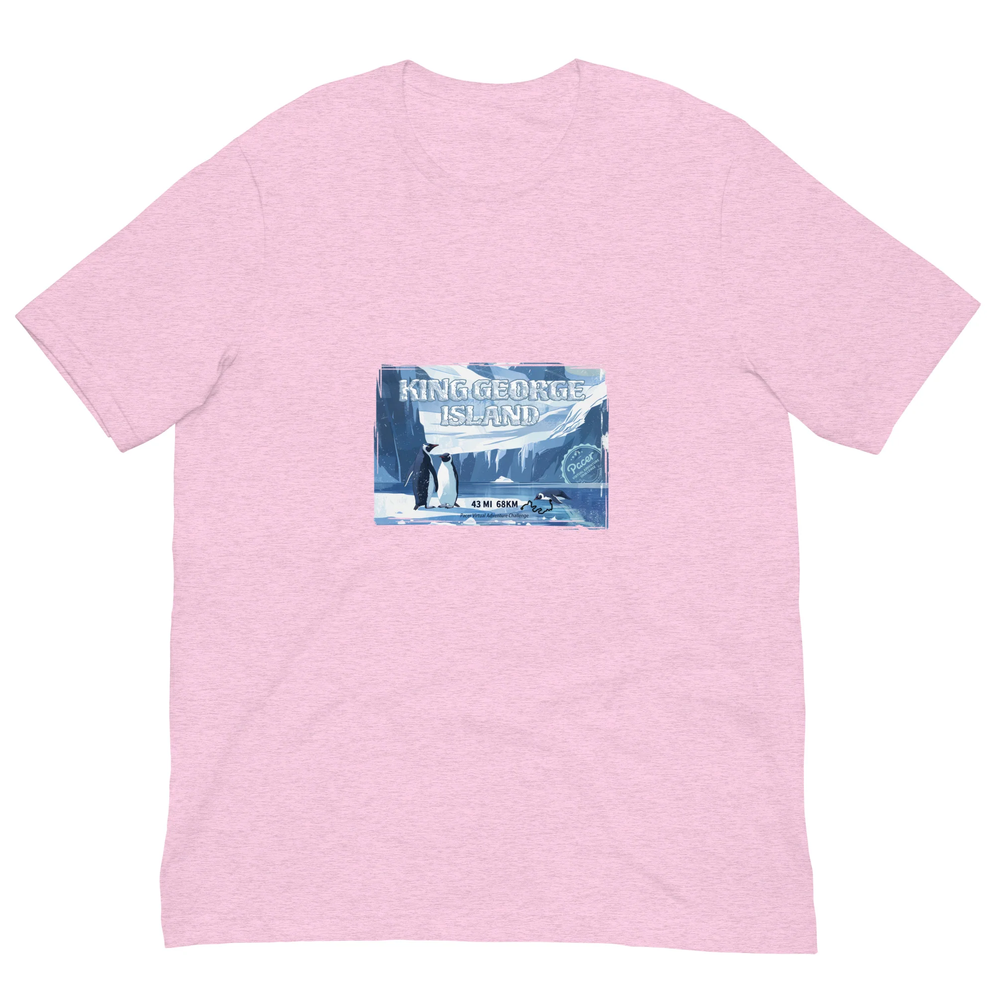 King George Island Virtual Challenge Unisex t-shirt - Image 5