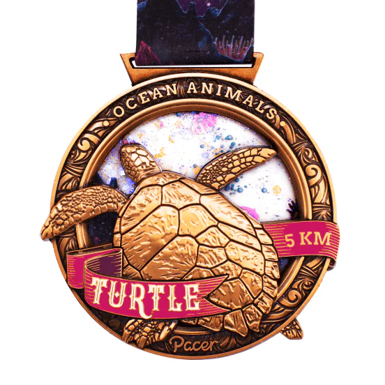 Race for Ocean Animals - Turtle 5km - Image 3