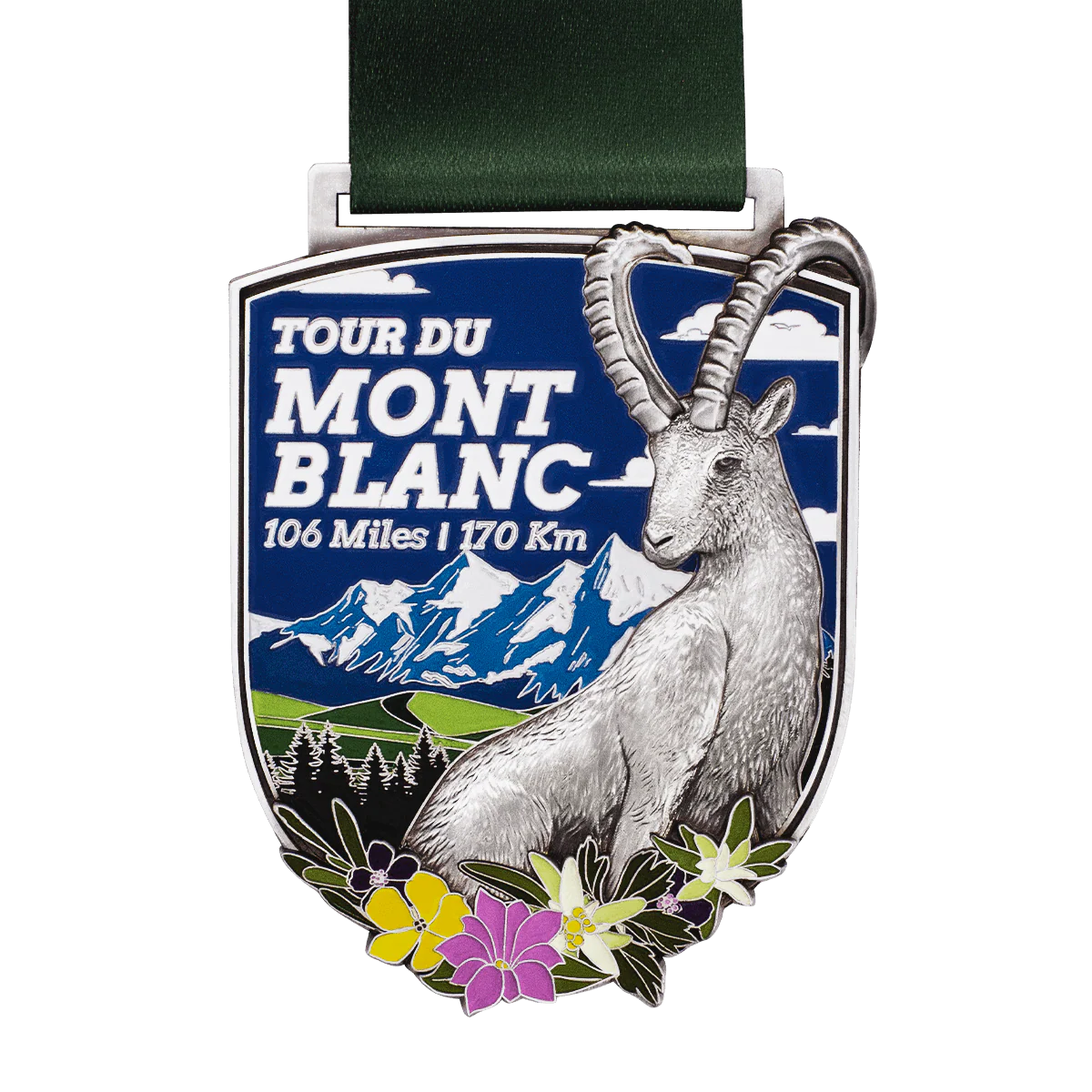 Tour du Mont Blanc Virtual Challenge - Image 2