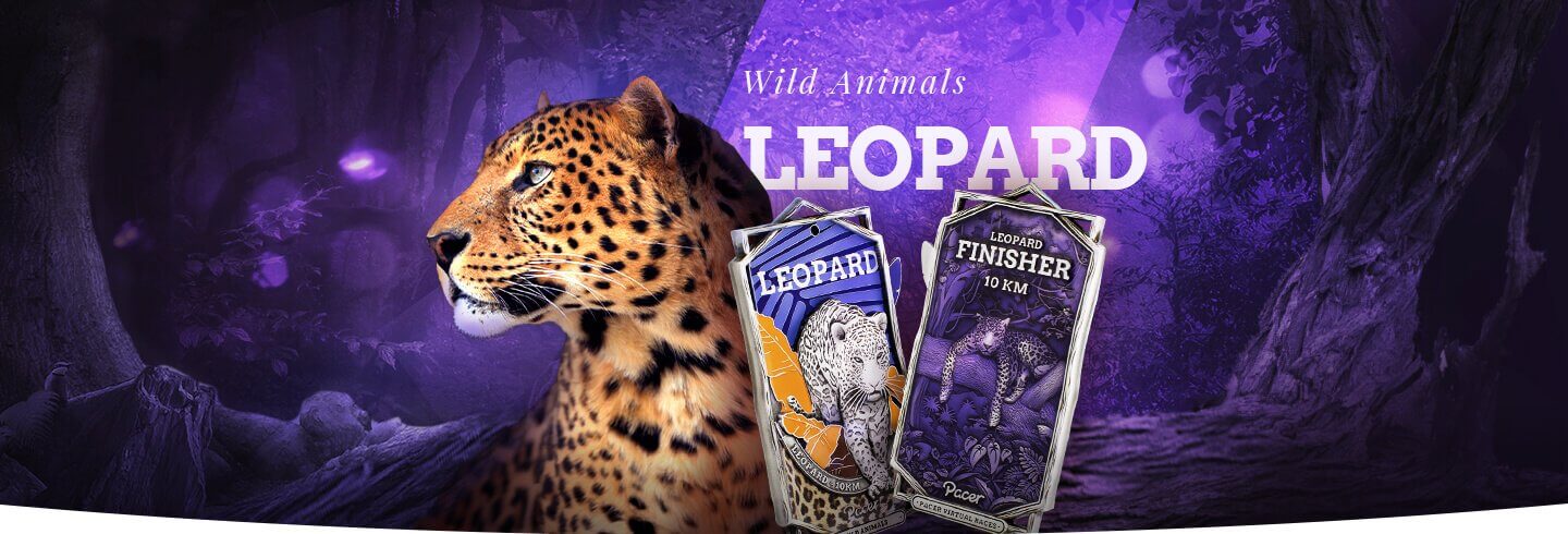 Wild Animals Virtual Race Series - Image 8